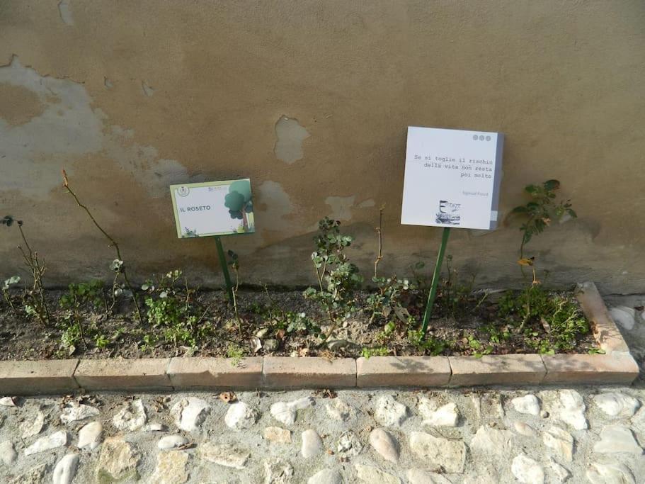 나르니 Casa Dell'Oliveto "Parcheggio Gratuito" 아파트 외부 사진