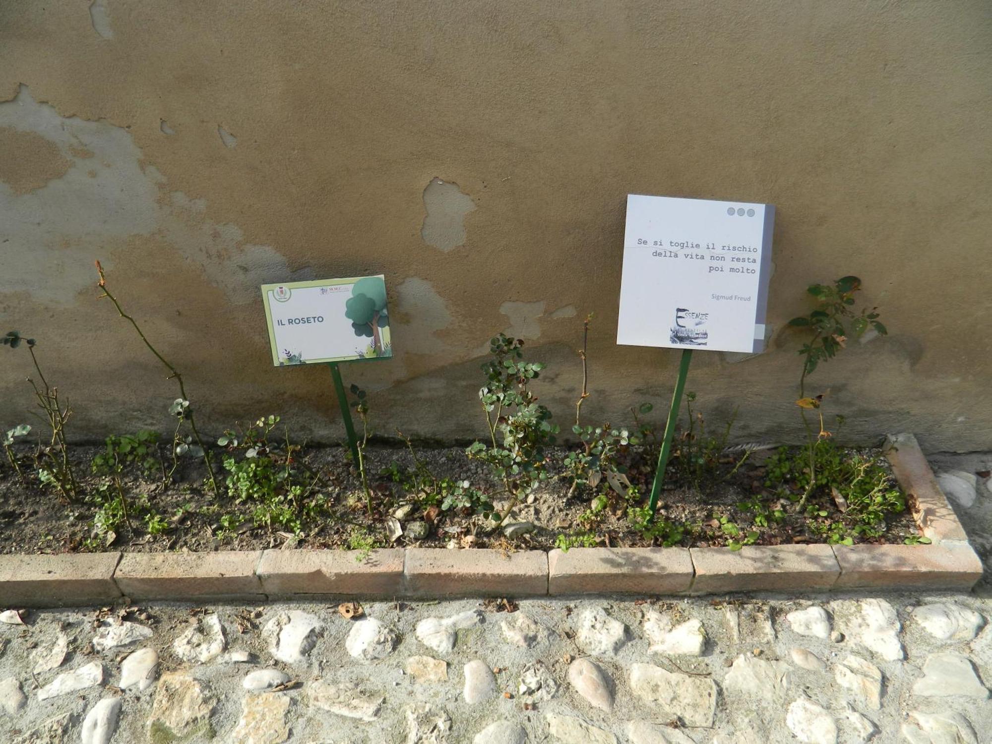 나르니 Casa Dell'Oliveto "Parcheggio Gratuito" 아파트 외부 사진